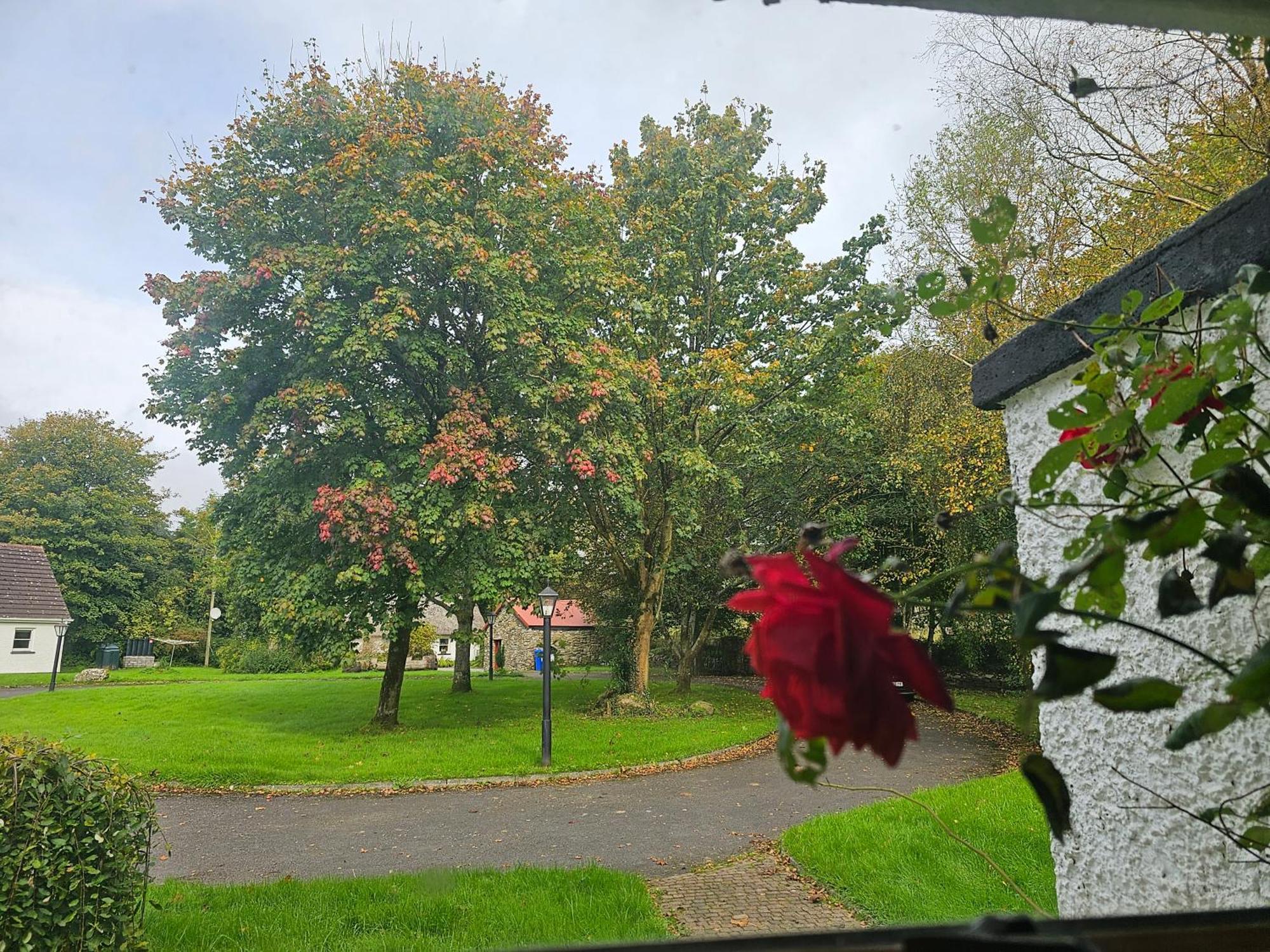 Longford Holiday Red Rose Self Catering Cottage Eksteriør bilde